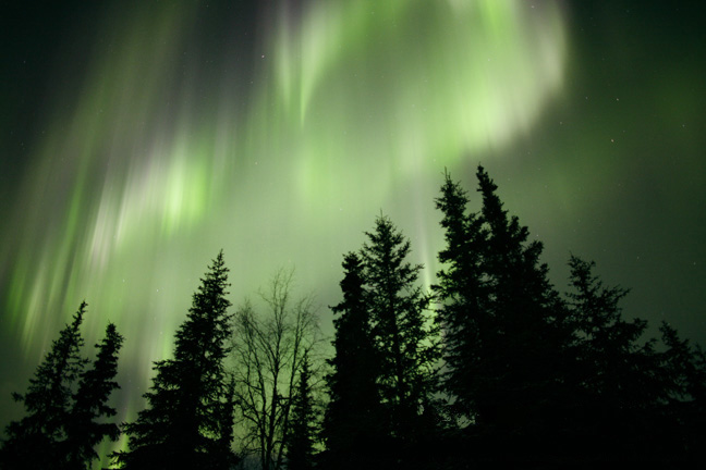 [Aurora-Kenai_Peninsula_Alaska.jpg]