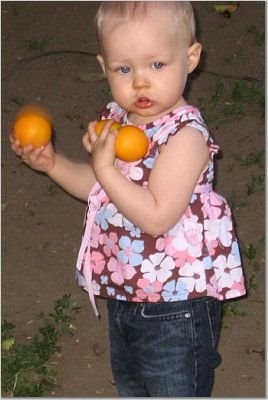 [Picking+oranges.bmp]