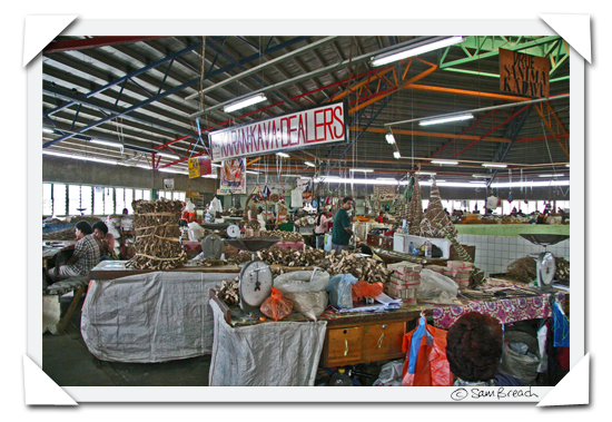 picture photograph image the kava dealers at Suva market Fiji 2008 copyright of sam breach http://becksposhnosh.blogspot.com/