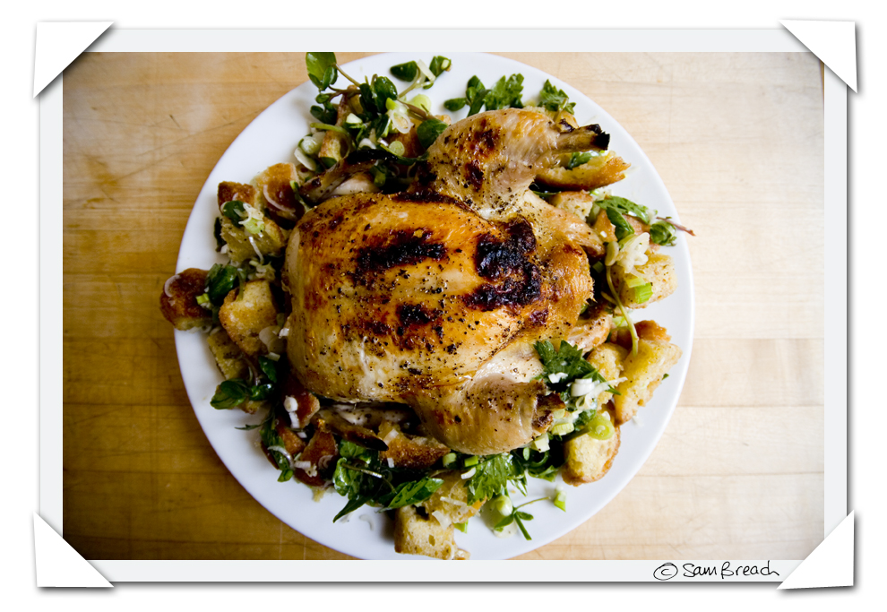 [Roast+Chicken+Bread+Salad+Sam+Breach.jpg]
