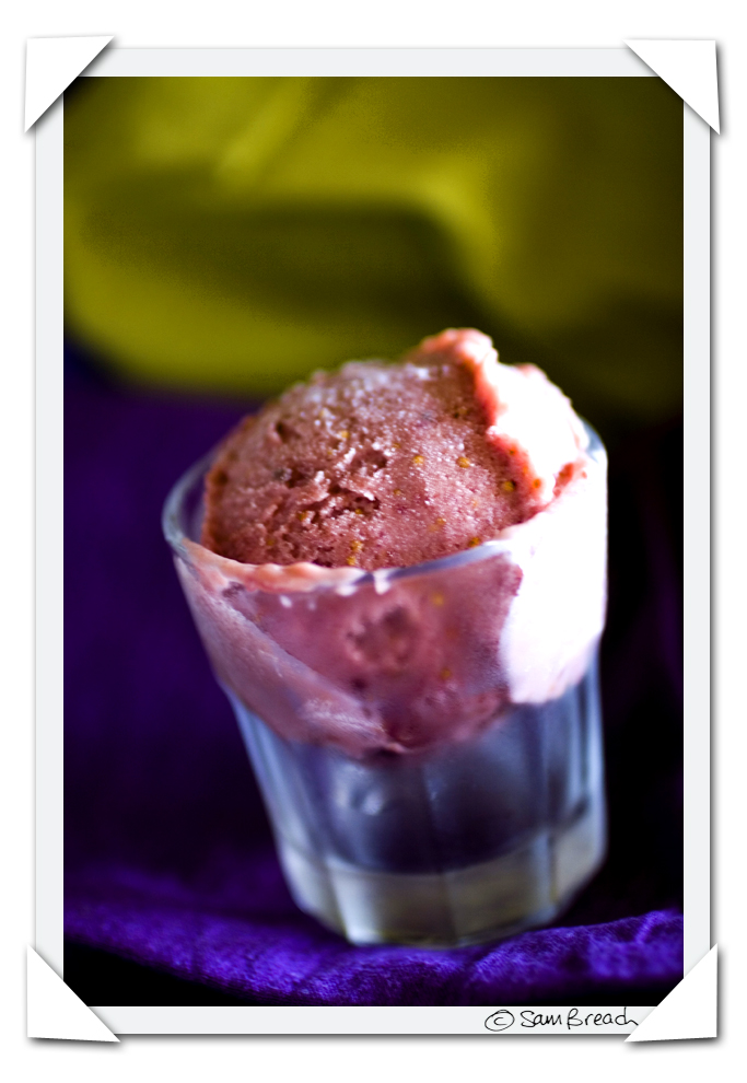 [Fresh+Fig+Ice+Cream+by+Sam+Breach+1.jpg]