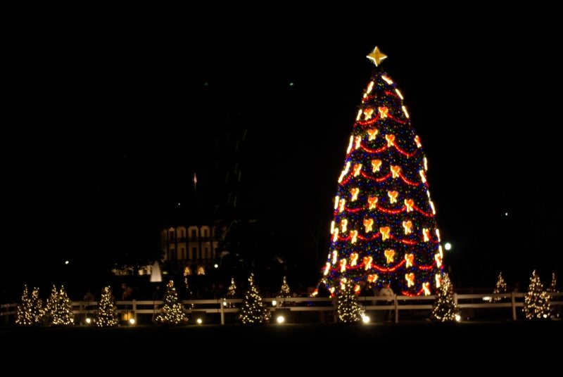 [whitehouse-christmas-tree-photo.jpg]