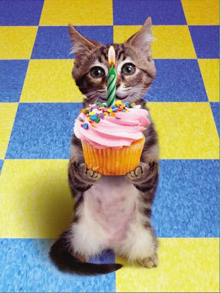 [Cat+cupcake+birthday.jpg]