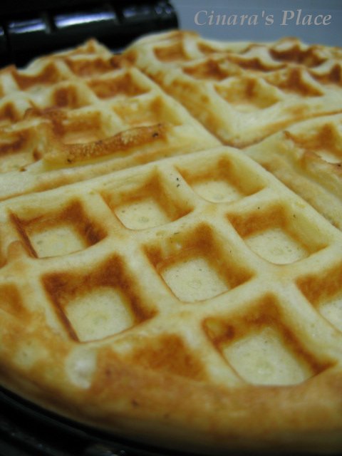 [Waffles_MD.JPG]