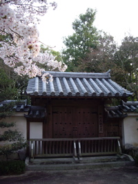 [sakura+and+door.jpg]
