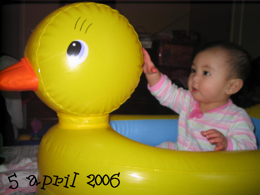 [duck+tub.jpg]