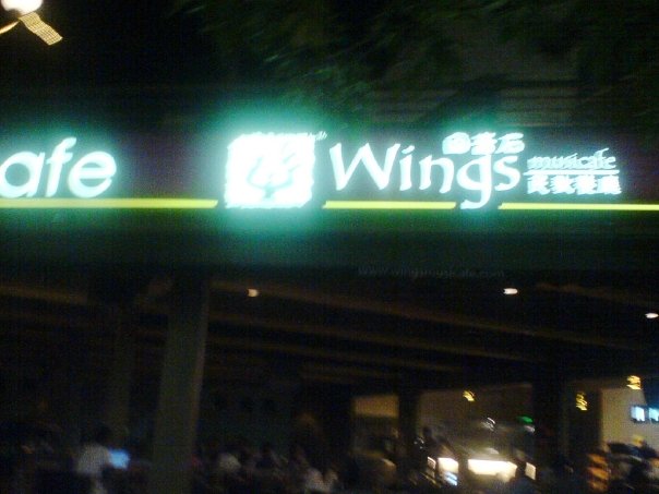 [wings1]