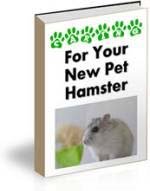 [a+ebk+h+hamster.jpg]