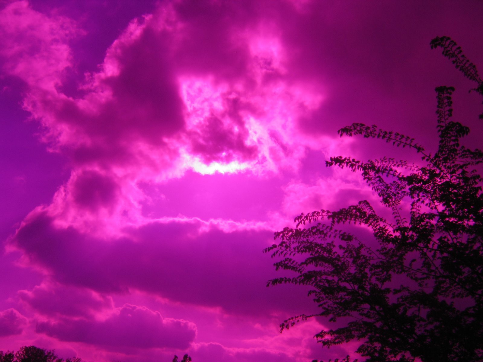 [purple+sky.jpg]