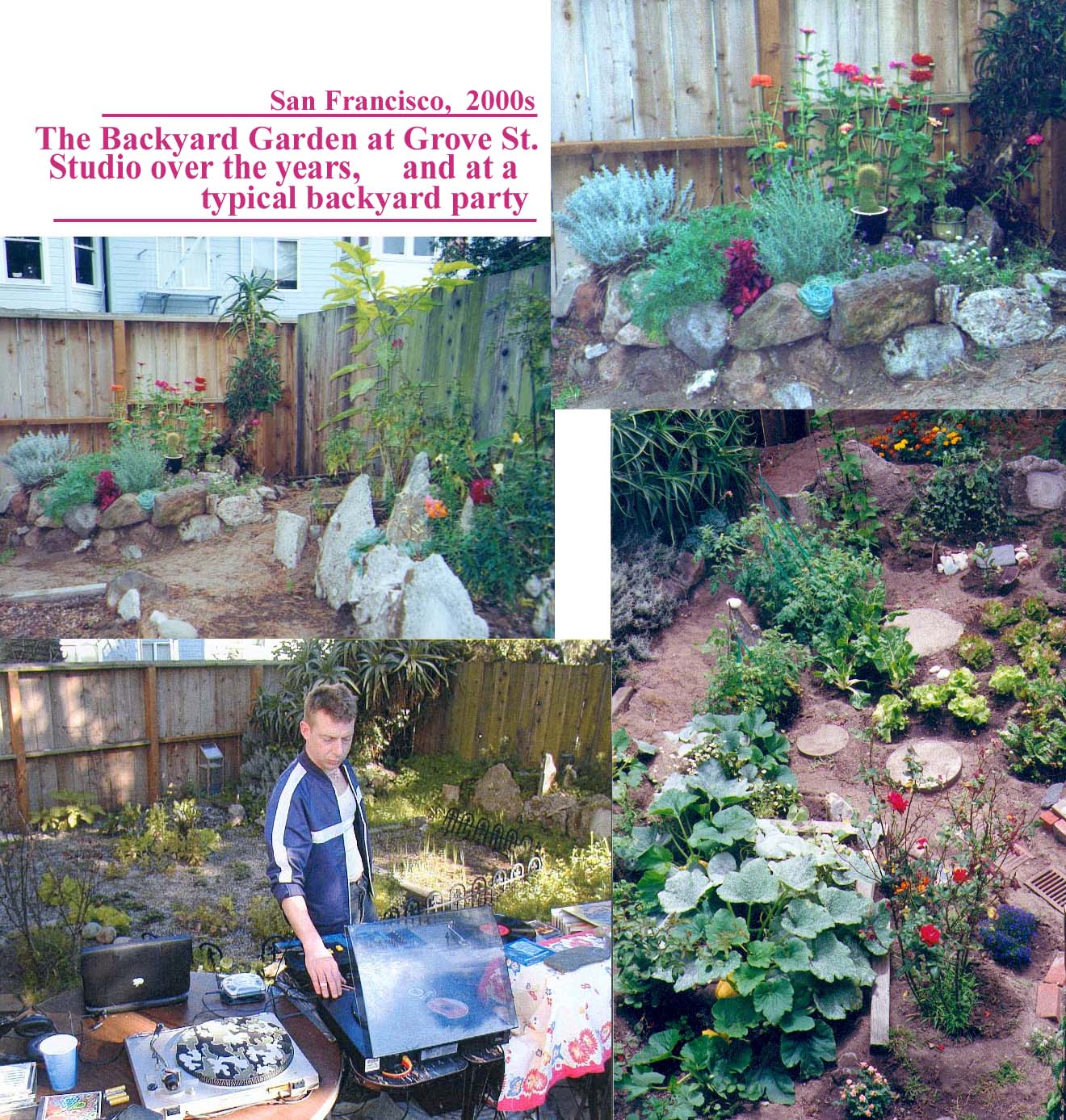 [Backyard+Garden+montage.jpg]