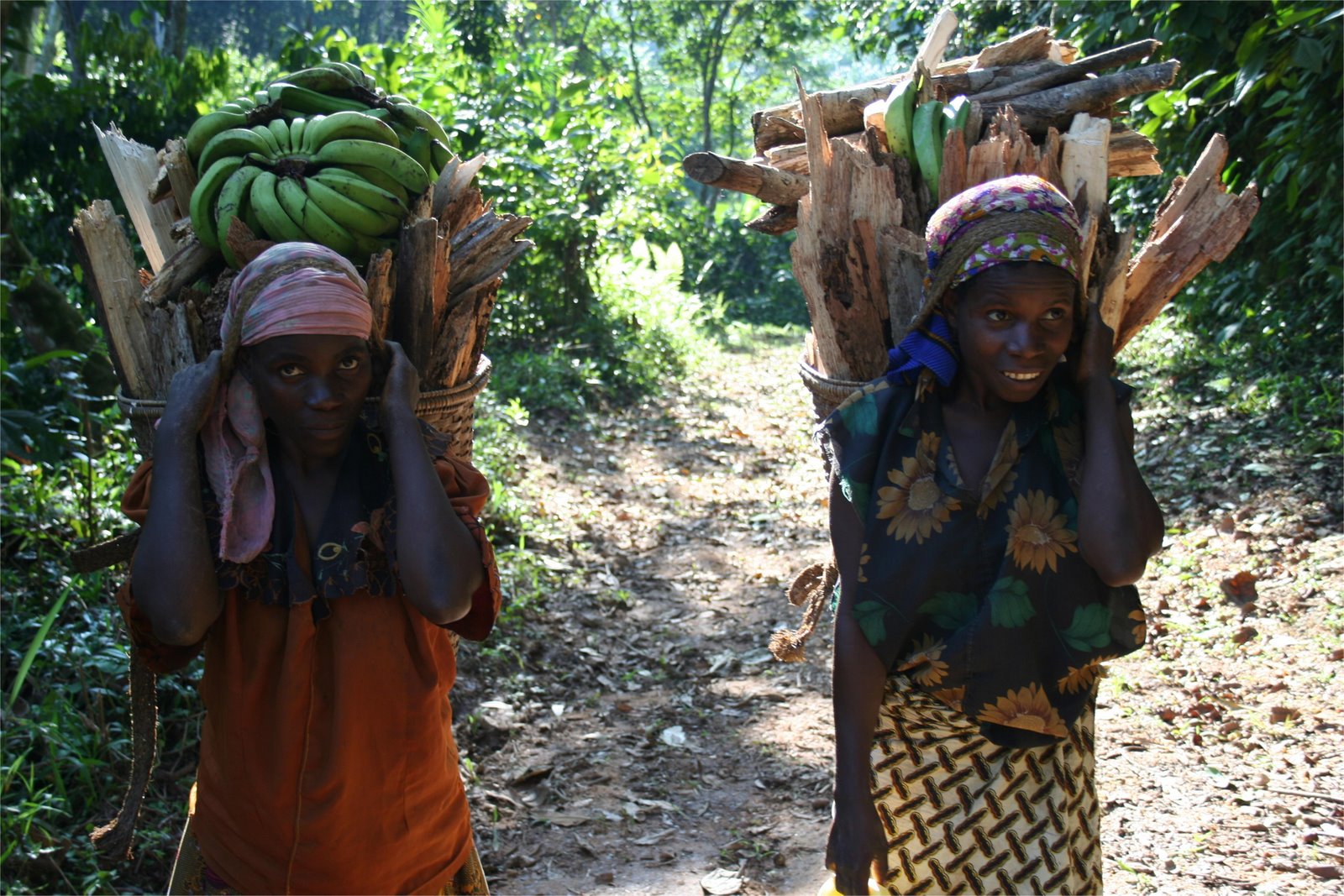 [DRC+Women+Firewood.jpg]