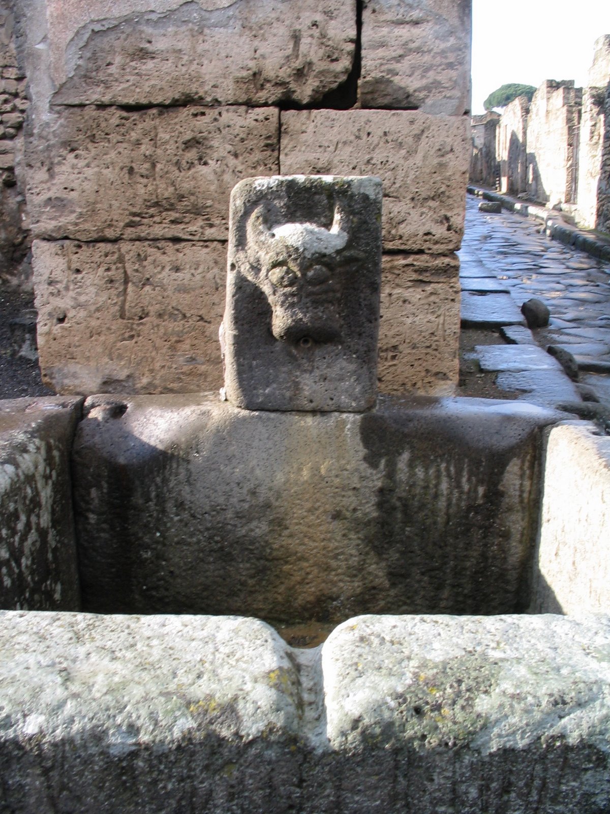 [Pompeii+-+Bull+Fountain.jpg]