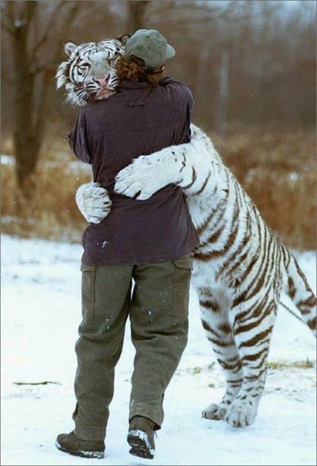 [Tiger+Hug.jpg]