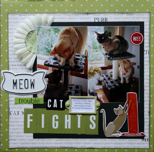 [cat+fights+2.jpg]