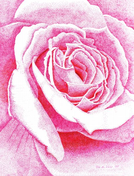 [Stippled+Pink+Rose+--+Stage+5b..jpg]