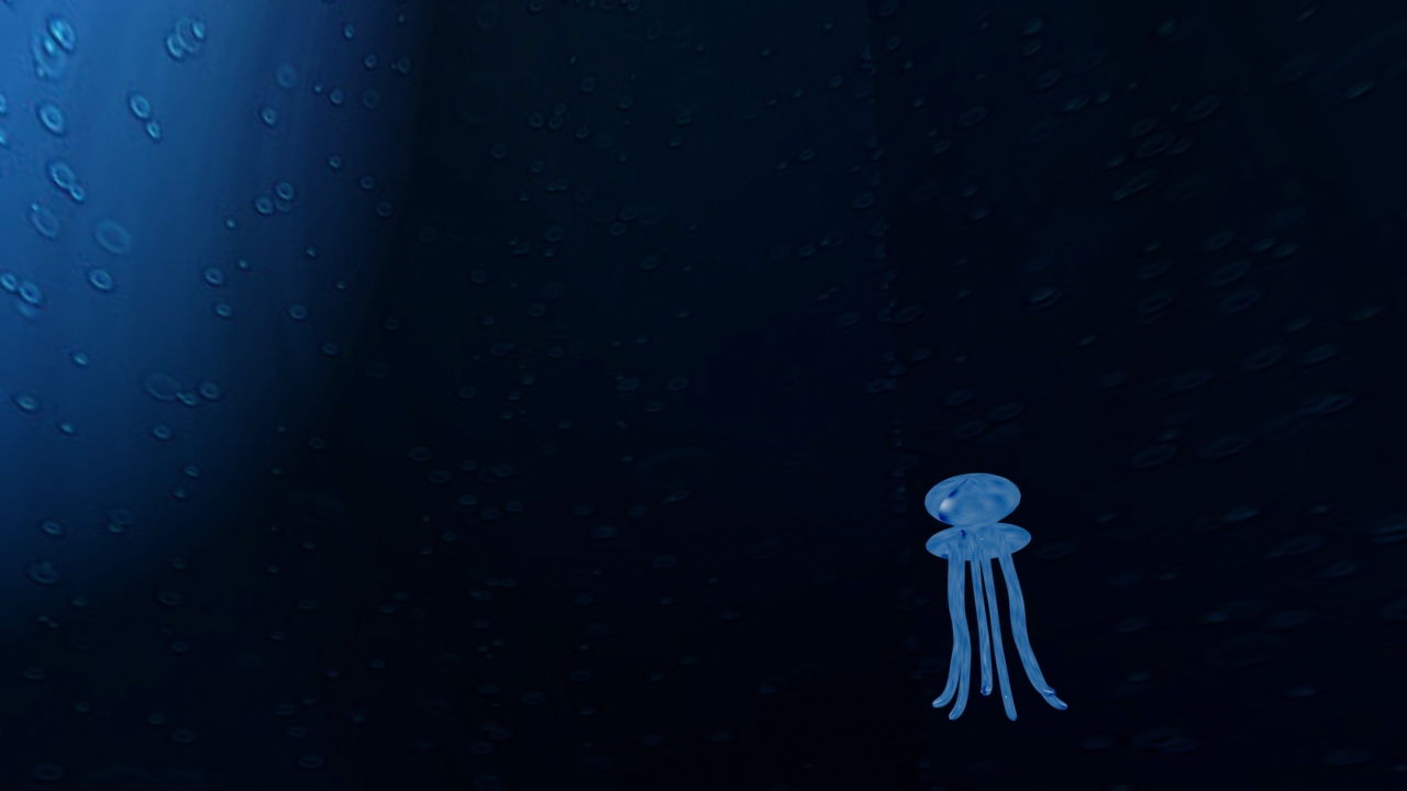 [squid+still.jpg]