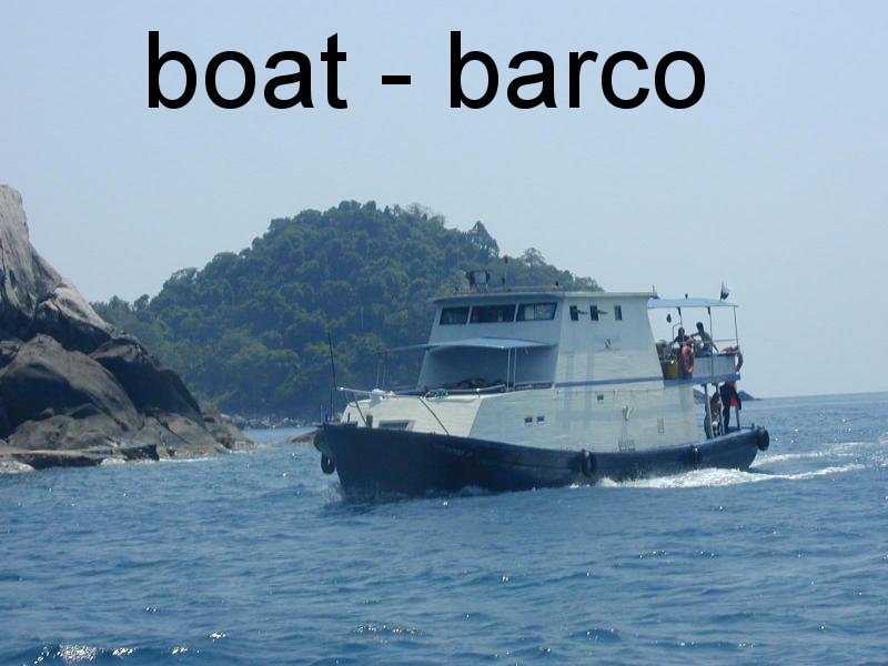 [Boat`.jpg]