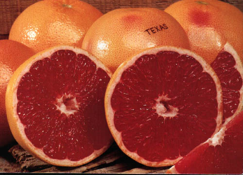 [grapefruit.jpg]