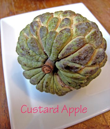 [custard+apple+whole.jpg]