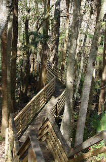 Spruce Creek Overlook Park Trail