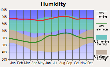 Spruce Creek Fly-in Average Humidity