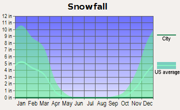 Spruce Creek Fly-in Average Snowfall