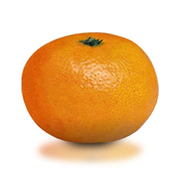 [product-tangerine.jpg]