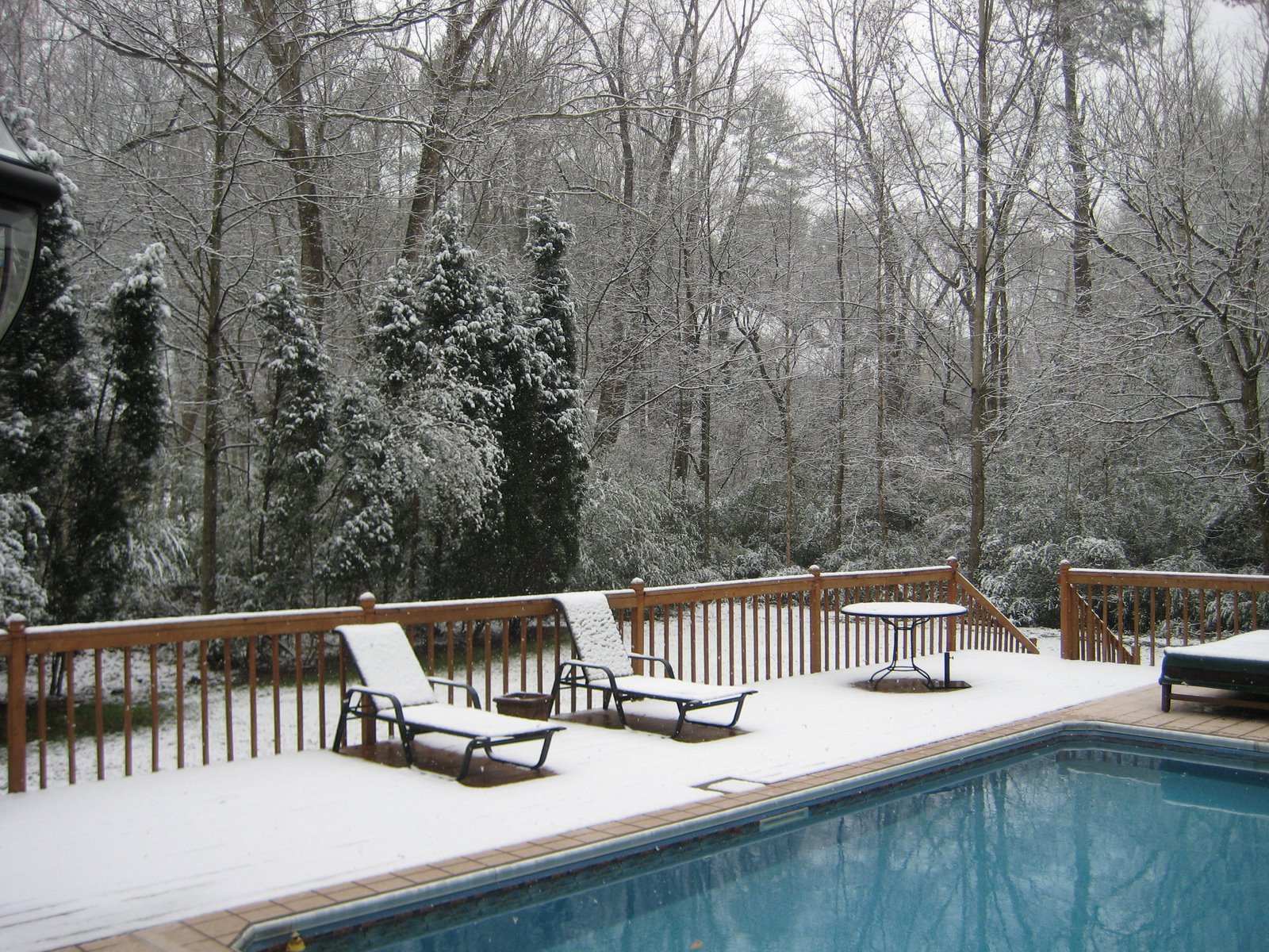 [snow+in+Atlanta+008.jpg]