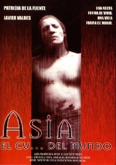 Asia el culo del mundo poster