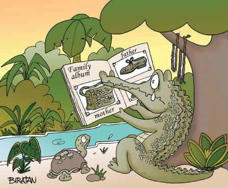 [crocodile+family.gif]