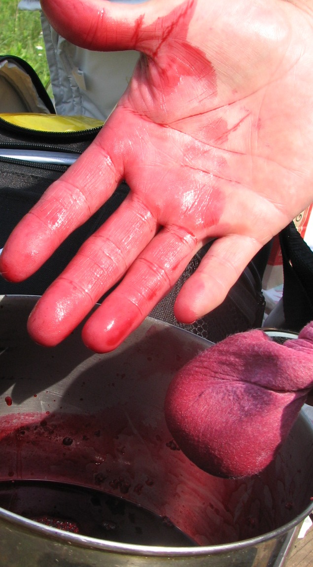 [raspberry+syrup,+end+of+july+camping+004+stained+hands.jpg]
