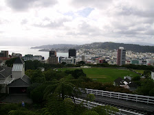 Wellington, from the hills
