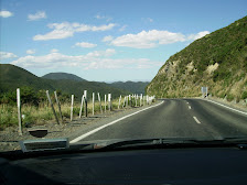 Road from Wellington to Napier