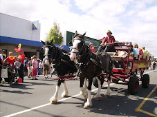 The Pirongia Clydesdales