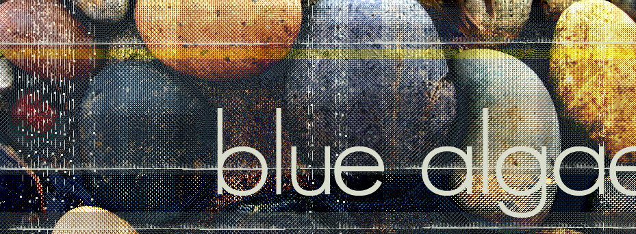[Blue+Algae+banner.jpg]