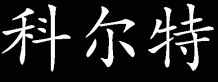 My name in chinese