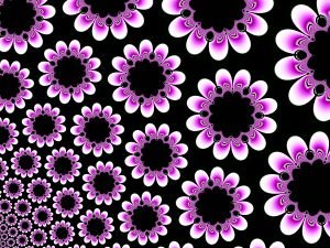 [fractal_flower.jpg]