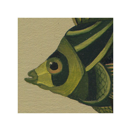 [fish_detail.jpg]