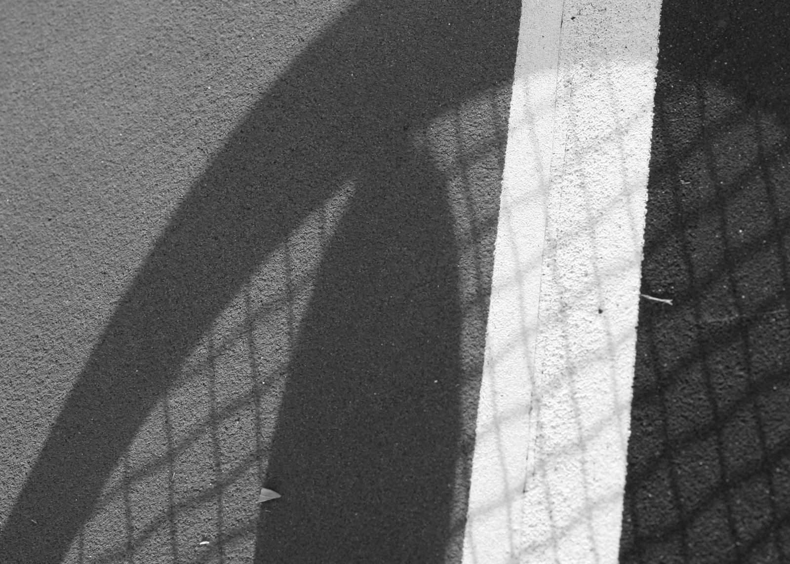 [racket+shadow+bw.jpg]