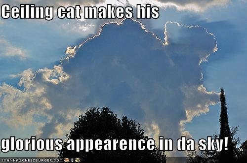 [funny-pictures-ceiling-cat-cloud.jpg]