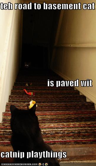 [funny-pictures-stairs-cats-basement-catnip.jpg]