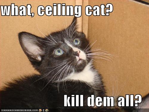 [funny-pictures-ceiling-cat-tells-kitten-to-kill.jpg]
