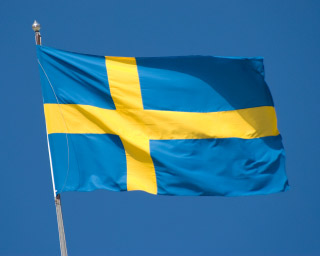 [swedish-flag.jpg]
