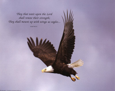 [8427~Wings-as-Eagles-Posters.jpg]