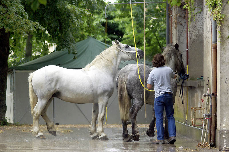 [Equestria2007-01-800.jpg]