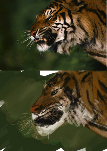 [Color-Tiger.jpg]
