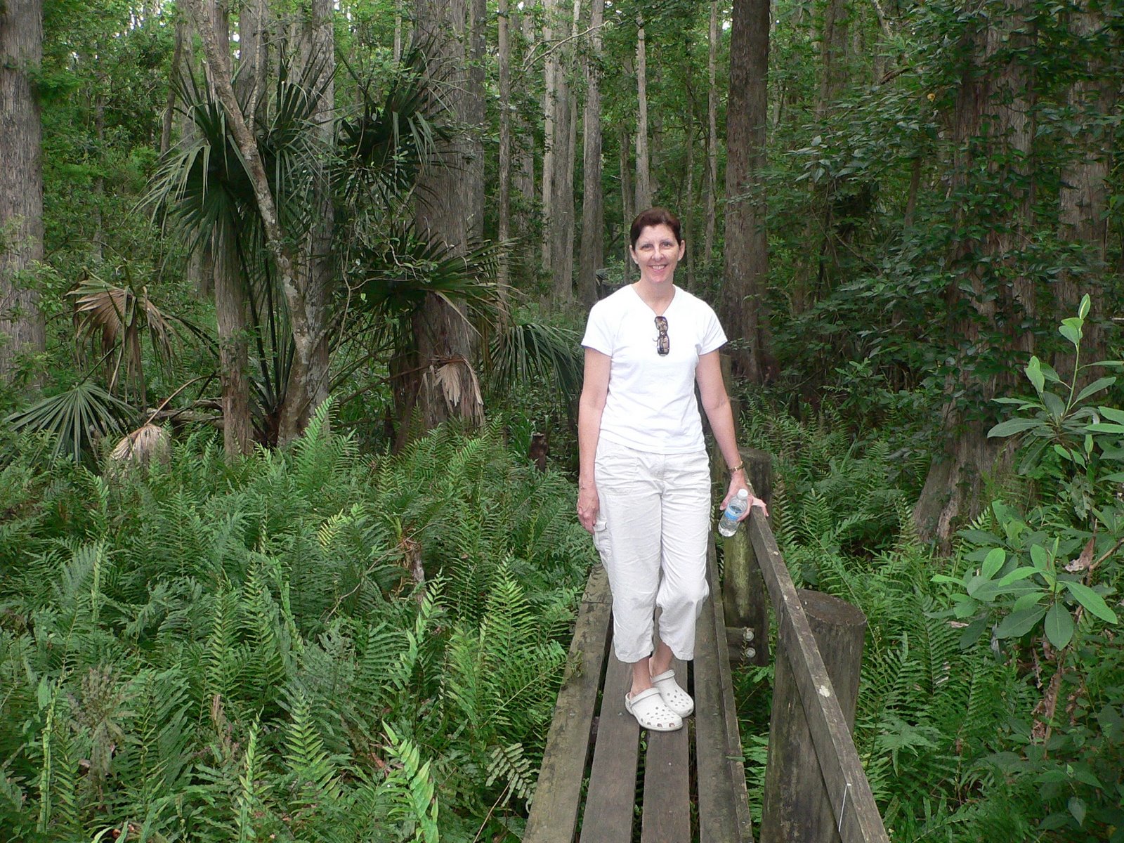 [Cypress+Swamp+Trail+Ferns+2.JPG]