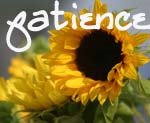 [sunflowers+patience.jpg]