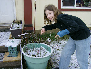 snow on kid and plants