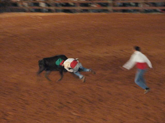 [feira+do+cavalo-Moita+4-07-2008+073.jpg]